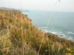 Sentier côtier de Trégana - Locmaria-Plouzané (29)