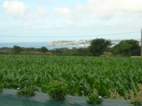 Location Trégana - Locmaria-Plouzané - Finistère (29)