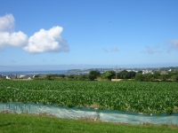 Location Trégana - Locmaria-Plouzané - Finistère (29)
