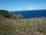 P7280663.JPG