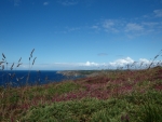 P7280659.JPG
