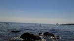 20160815_151536.jpg