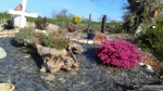 20170411_095306.jpg