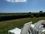 0-IMG_20180723_154749.jpg