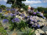 9-IMG_20180723_154910.jpg